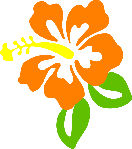 Orange hawaiian flower clipart