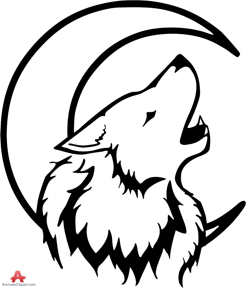 white wolf drawing