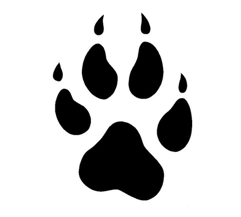wolf paw print real