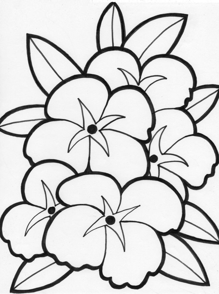 1000+ images about Coloring - Flowers | Coloring ...