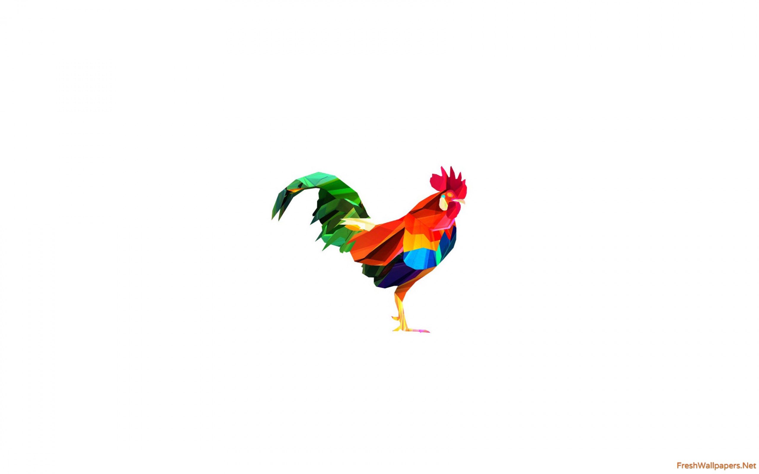 Colorful Rooster Vector wallpapers | Freshwallpapers