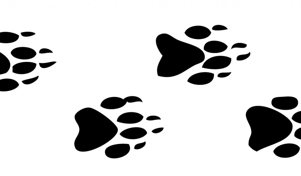 animal footprints clip art rinkkxm8t | School Clip Art