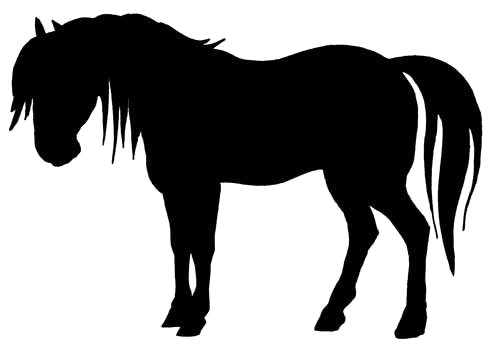 Horse Training Clipart - ClipArt Best