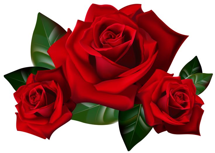 Red Rose Clip Art - Tumundografico