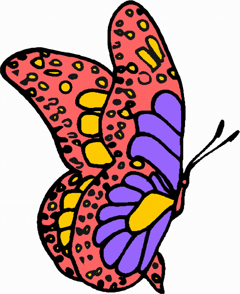 Cartoon Butterfly Images | Free Download Clip Art | Free Clip Art ...