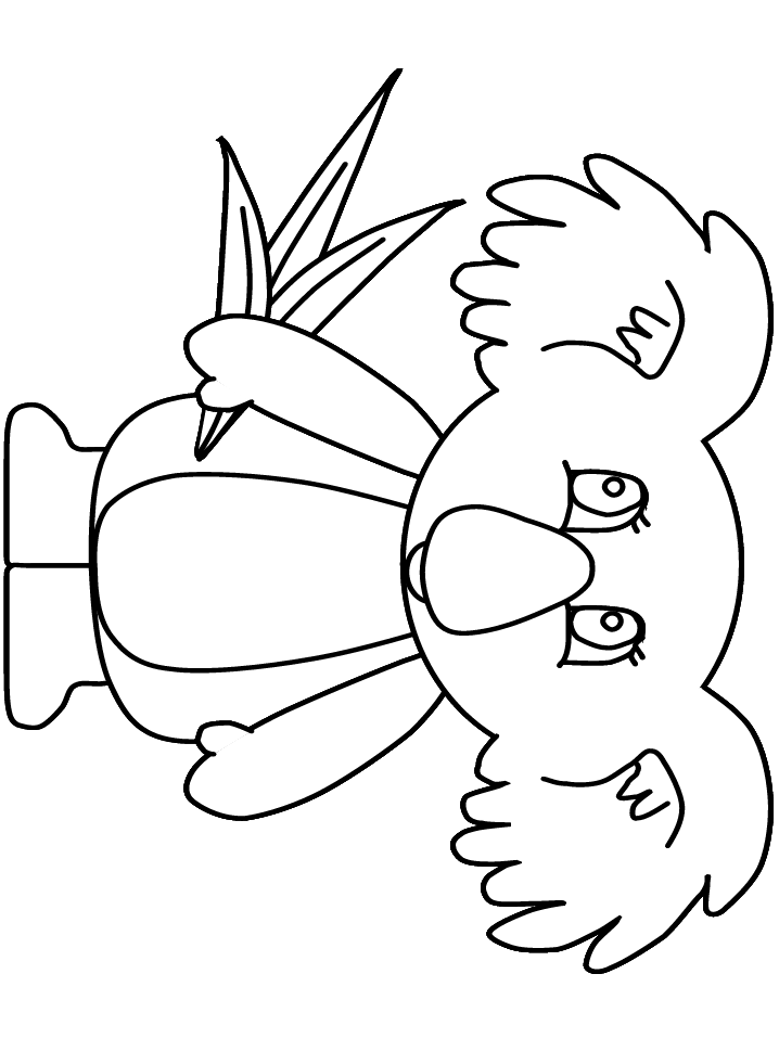 Koala Outline - AZ Coloring Pages