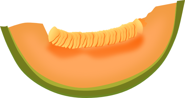 Cantaloupe Clipart | Free Download Clip Art | Free Clip Art | on ...