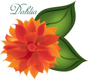 Dahlia Clipart | Free Download Clip Art | Free Clip Art | on ...