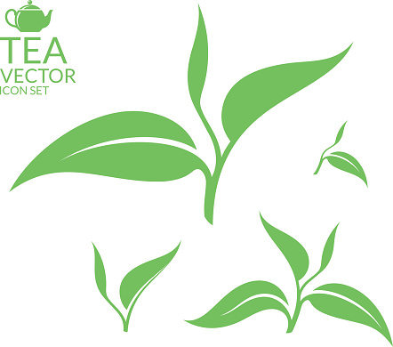 Green Tea Clip Art, Vector Images & Illustrations