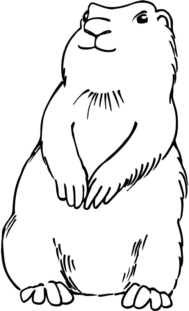 Prairie dog clipart