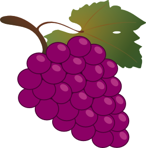 Grapes fruit clipart