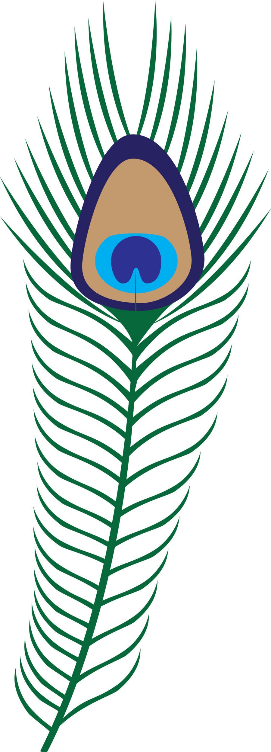 Cartoon Feather Of Peacock - ClipArt Best