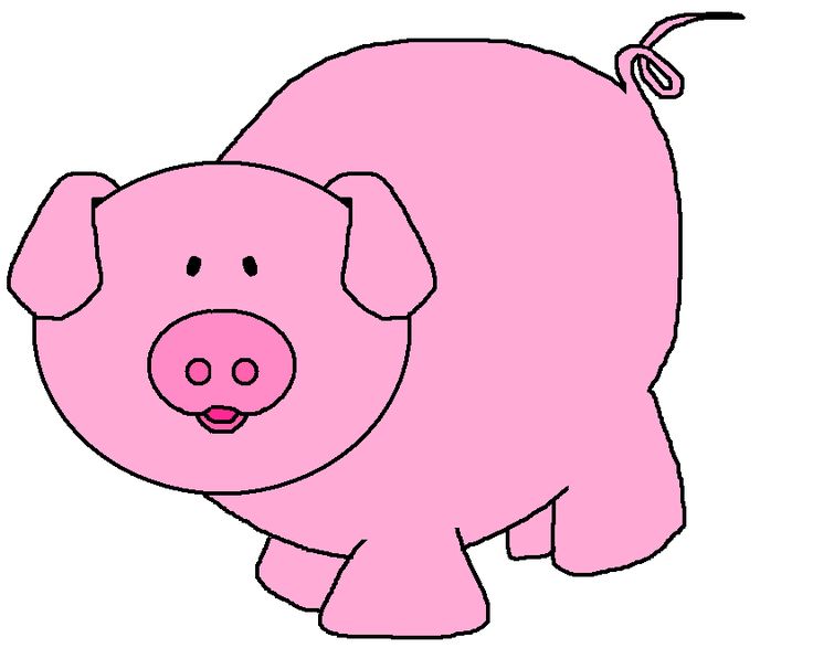 1000+ images about PIGS