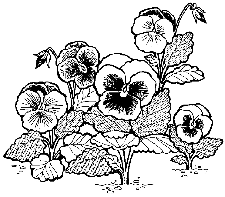 Black And White Flower Tattoos | Free Download Clip Art | Free ...