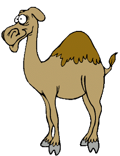 Camel images clip art