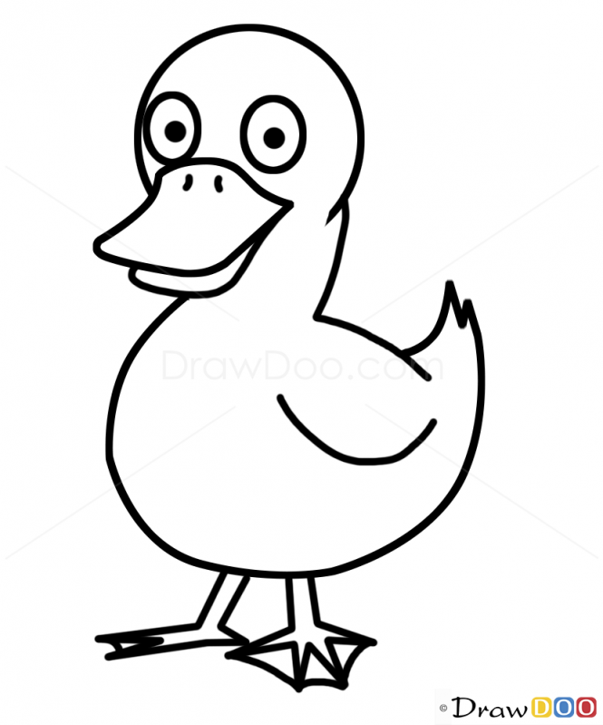 Draw A Duck - ClipArt Best