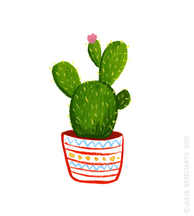 Cactus plant drawing information