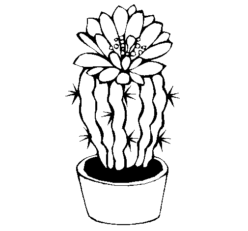 Cactus with flower coloring page - Coloringcrew.com
