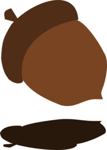 Acorn | High Quality Clip Art