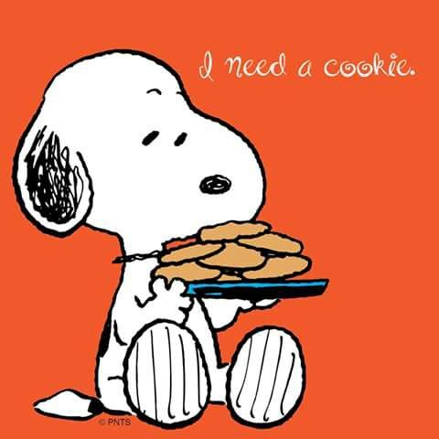 1000+ images about Cookie humor | Peanuts snoopy, Too ...