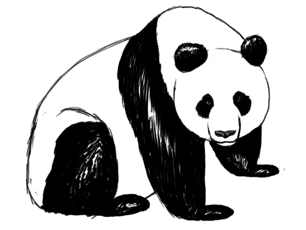 How To Draw A Panda - Draw Central