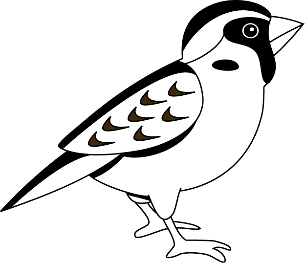 Sparrow Clipart - Tumundografico