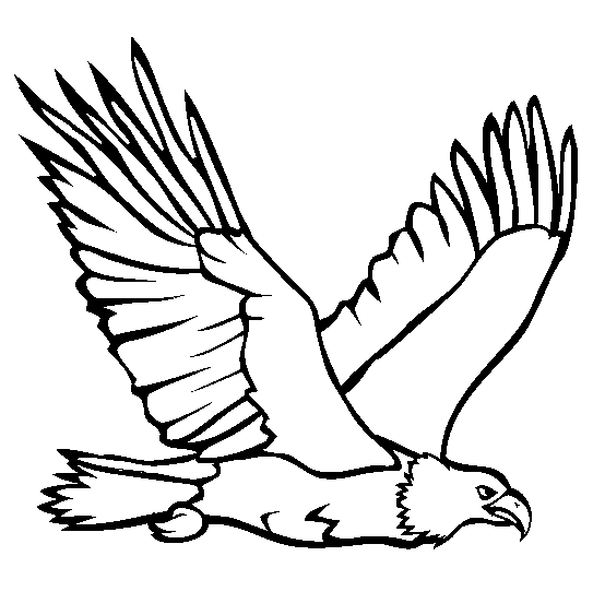 Eagle coloring page - Animals Town - animals color sheet - Eagle ...