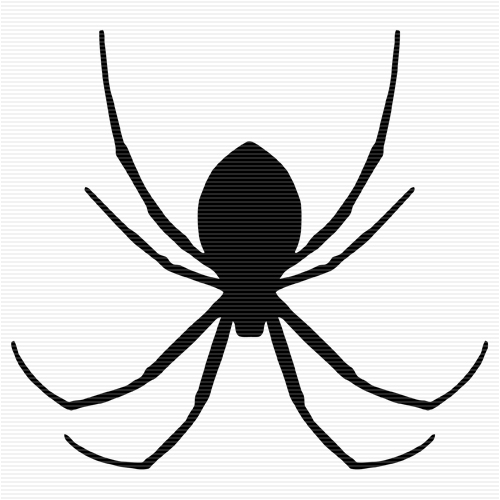 Spider clipart outline