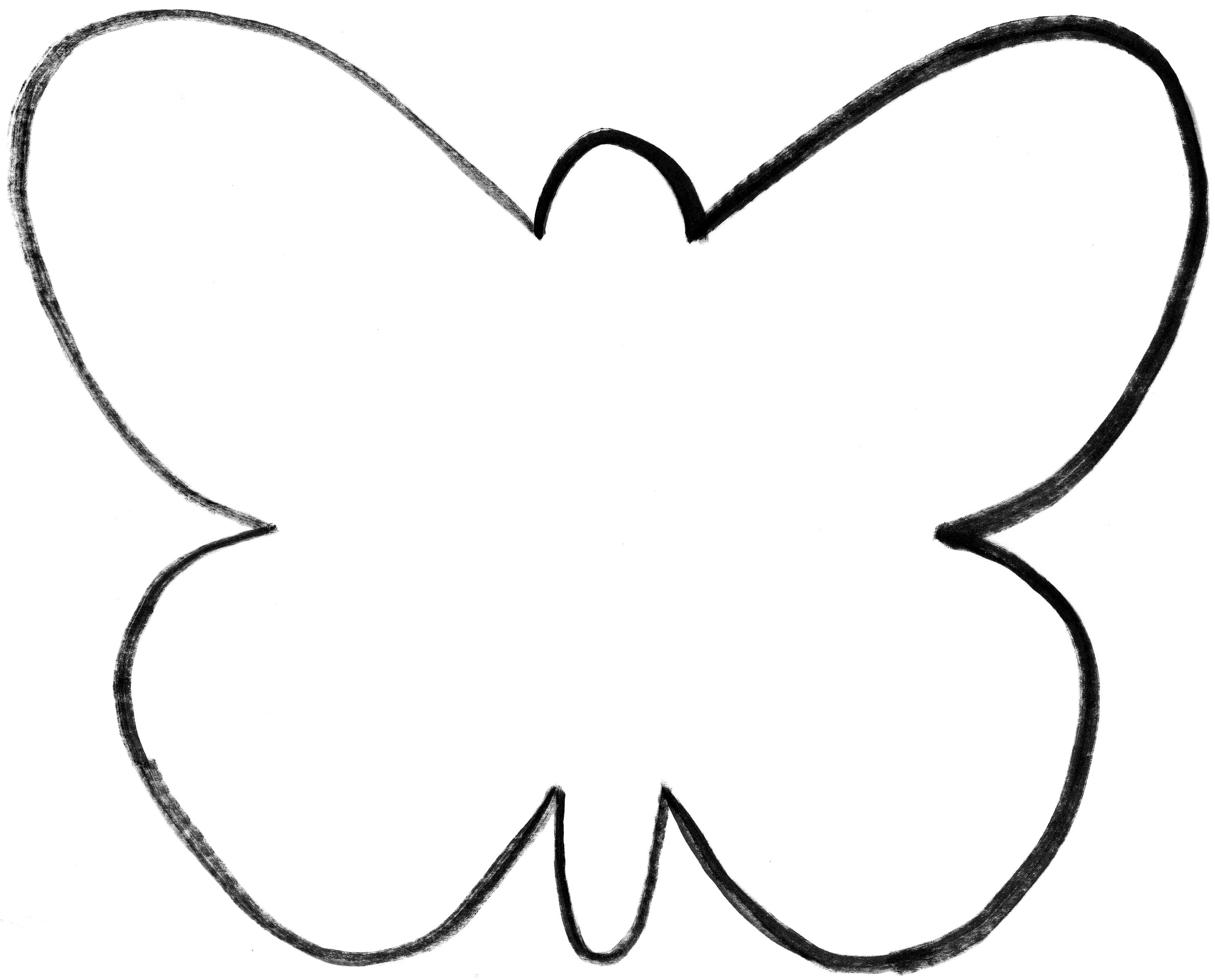 best-photos-of-large-butterfly-outline-butterflies-cut-out