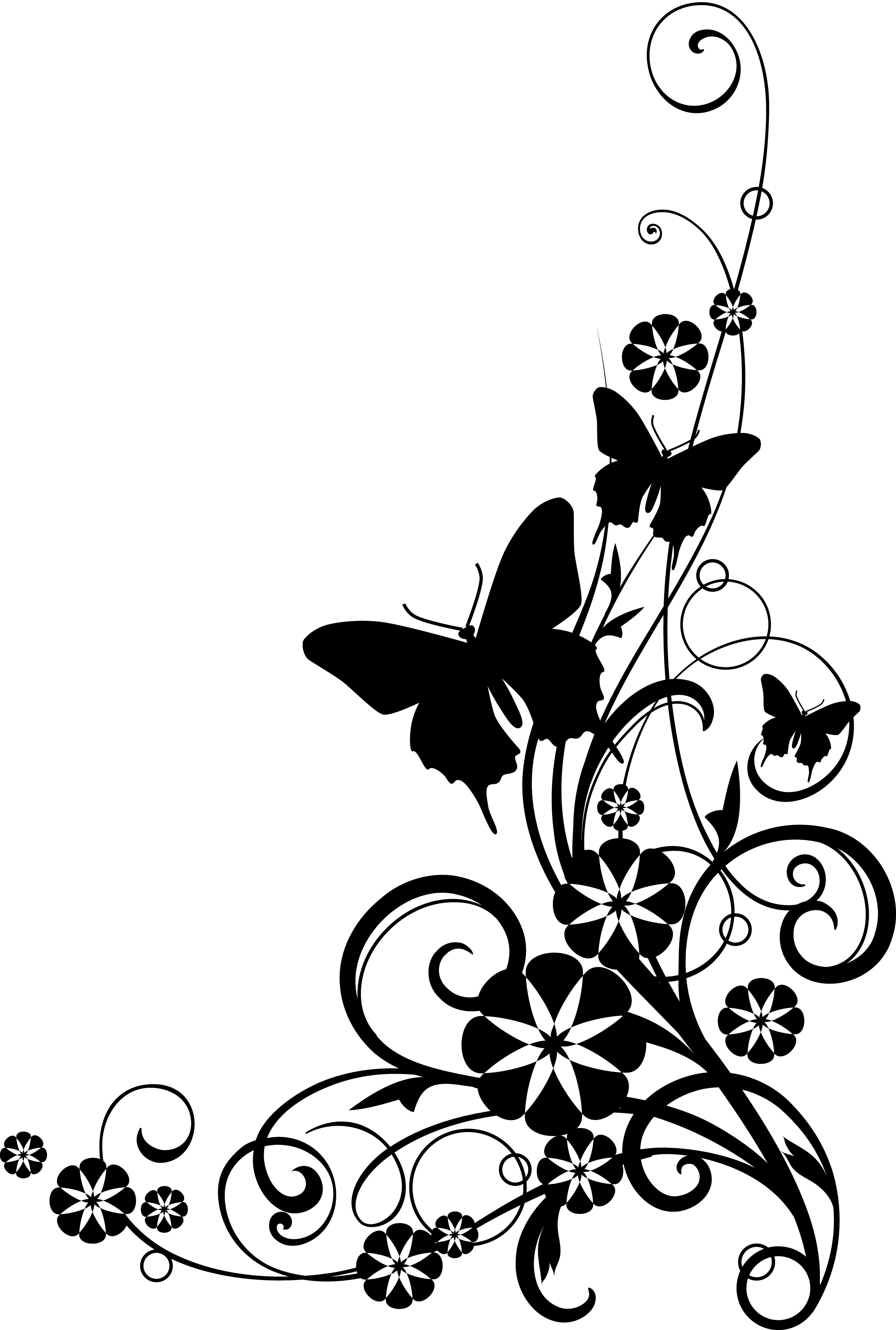 Clipart Flowers And Butterflies Border