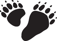 Bear Track Paw Print Vinyl Decal [A92010507] - $3.47 : DecalRocket ...