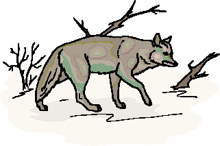 Clip Art - Clip art wolves 292390