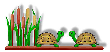 Turtle Clip Art - Turtles and Cattail on a Brown Linebar