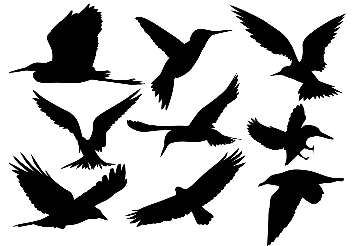 Bird Free Vector Art - (13853 Free Downloads)