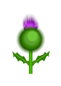 Thistle Clip Art Download