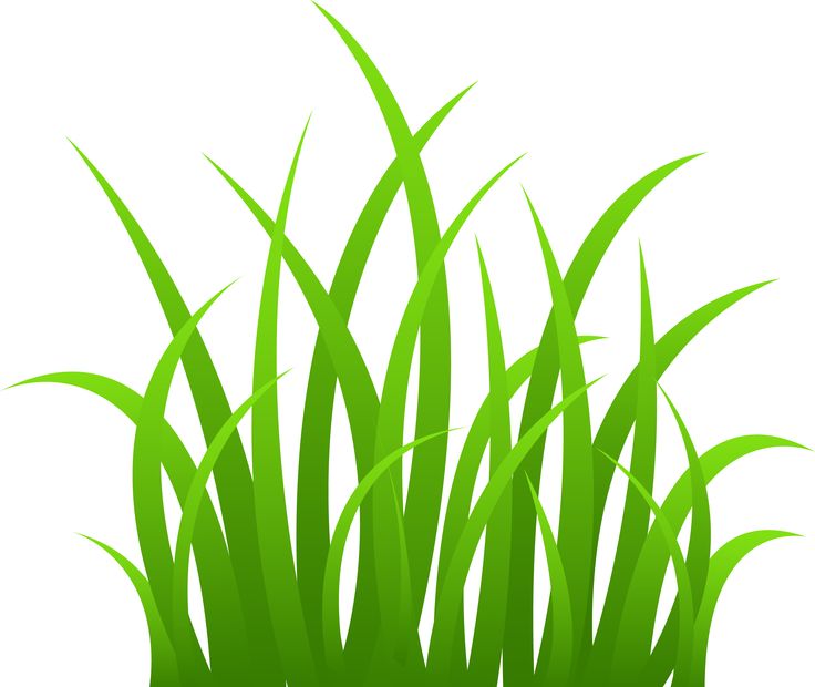 Grass Border Clip Art