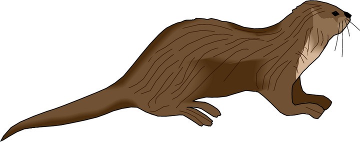 Free Otter Clipart