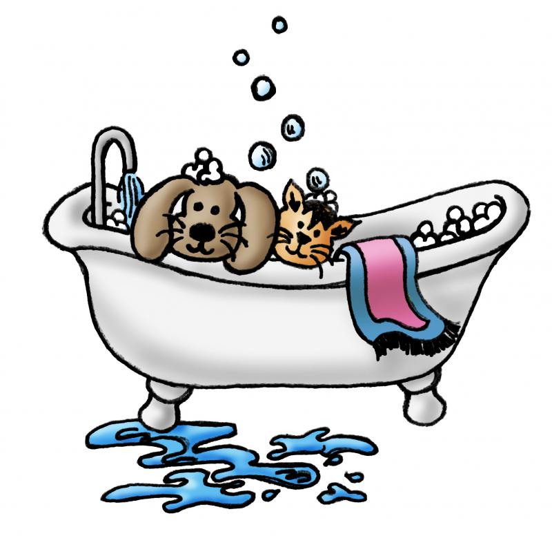 Dog Wash Clipart