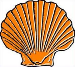 Free Clam Shell Clipart