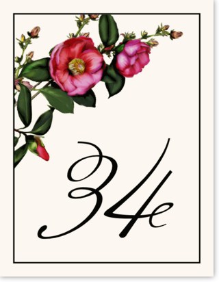 Camellia Wedding Table Numbers with Pink Flower Graphics | Table ...