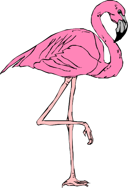 Cartoon Flamingo Images