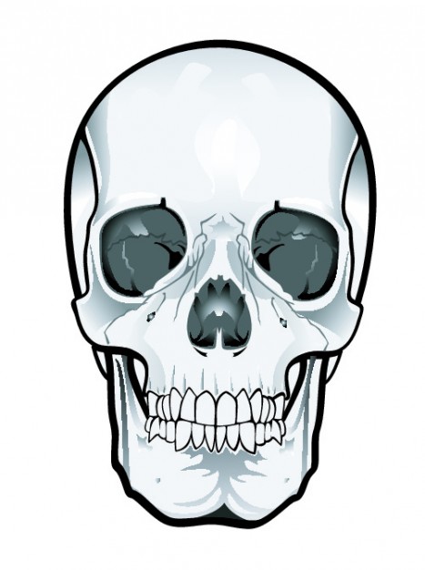 Skull clipart free download - ClipartFox