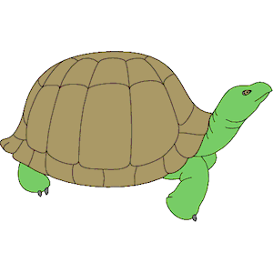 Tortoise clipart, cliparts of Tortoise free download (wmf, eps ...