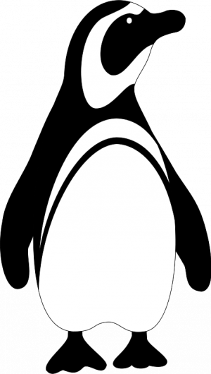 Penguin black and white free penguin clip art 4