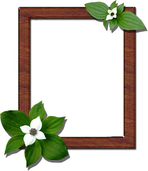 Png Frame for Photoshop - wood and flowers - 7 png frames files ...