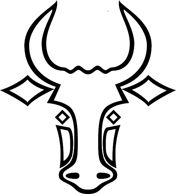 HEAD, OUTLINE, FACE, WHITE, BULL, HORN, HORNS, ANIMAL - Public ...