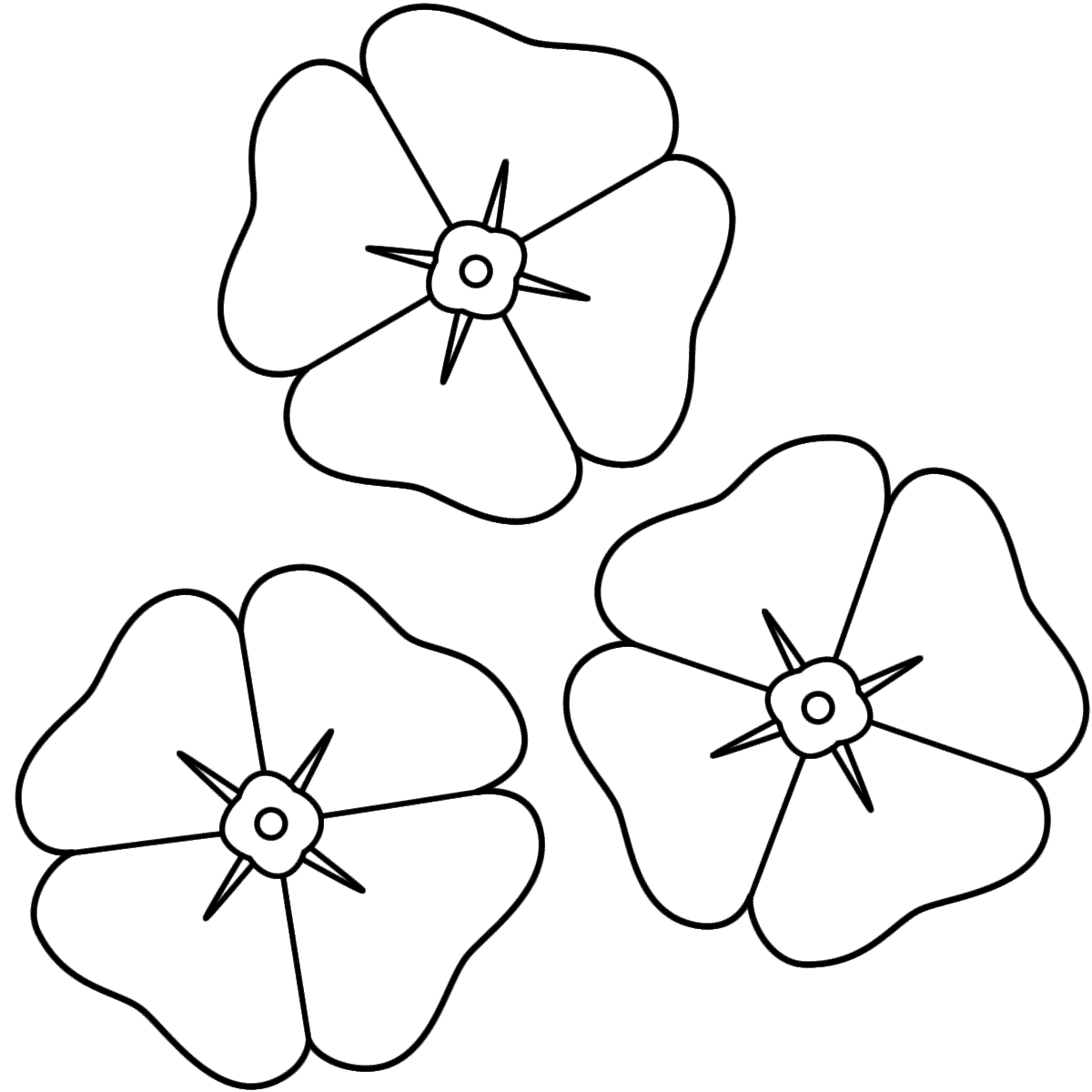 Poppies - Coloring Page (Anzac Day)