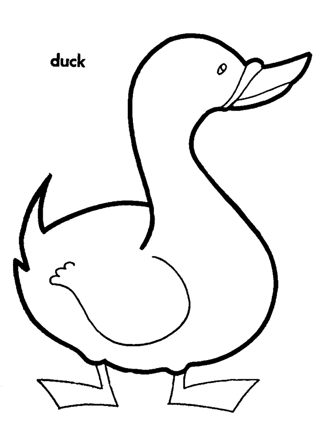 Printable Duck Coloring Pages - AZ Coloring Pages