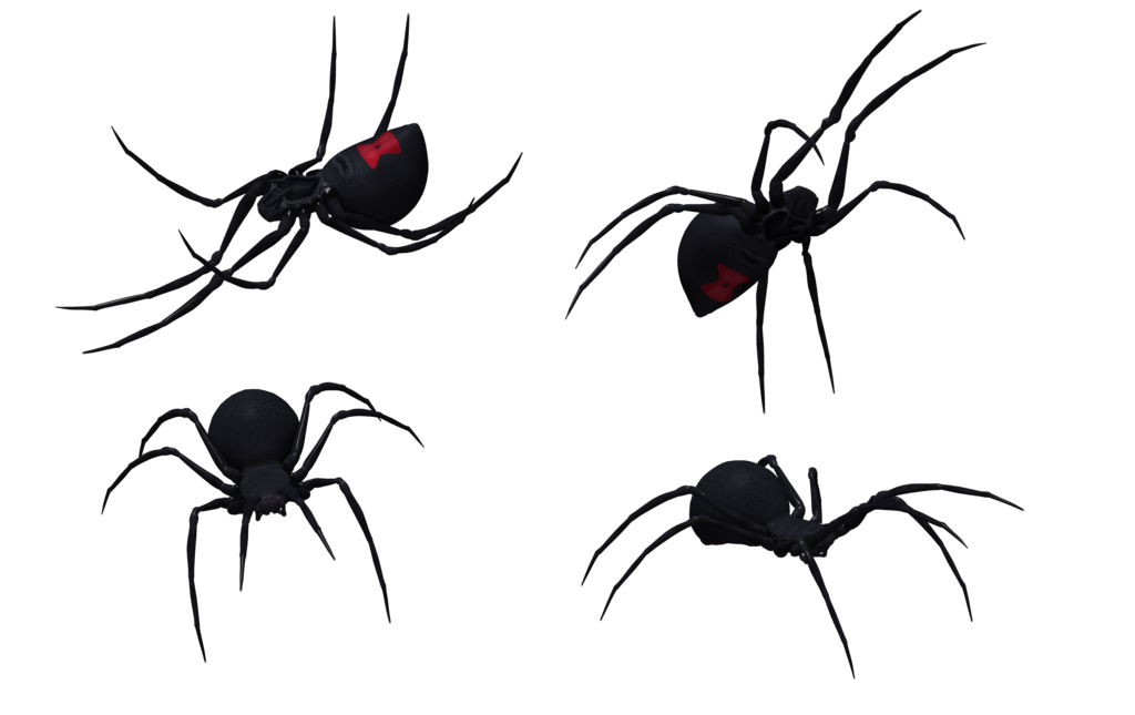 Black Widow Spider Art | Free Download Clip Art | Free Clip Art ...