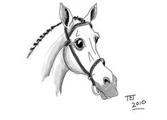 Free Horse Caricatures - Caricature Ecobul Tips Trick